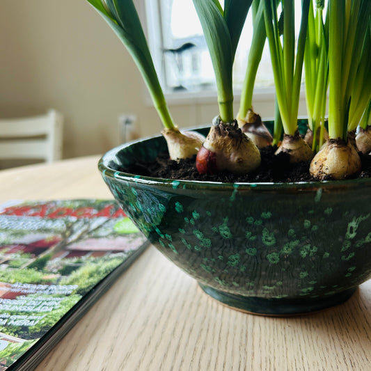 Grön marockansk skål 