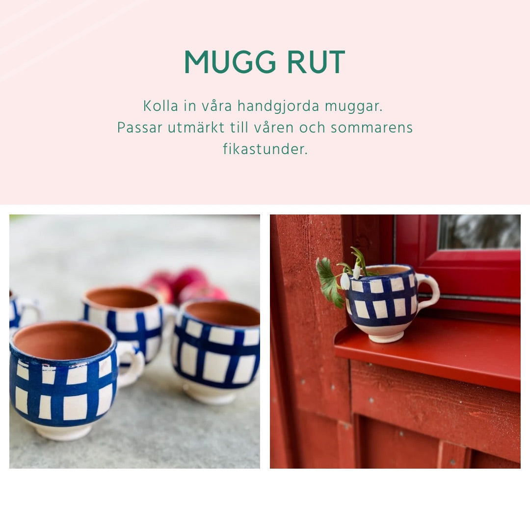 Mugg Rut